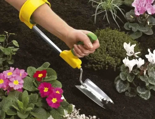 5 essential bush regeneration tools for every gardener