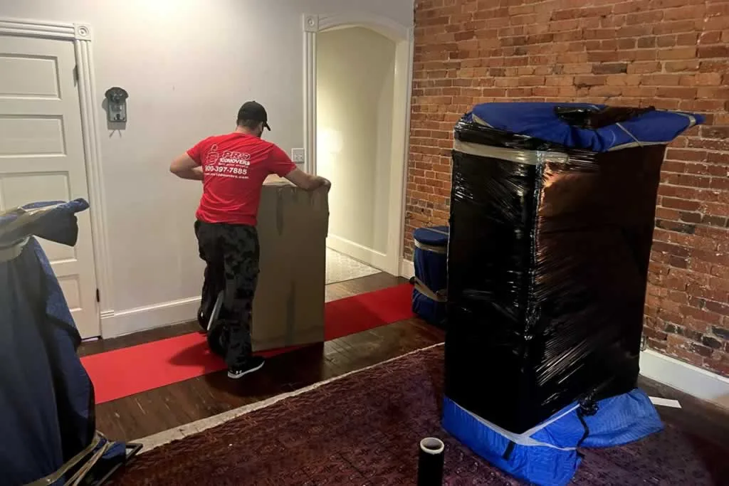 mover moving furniture